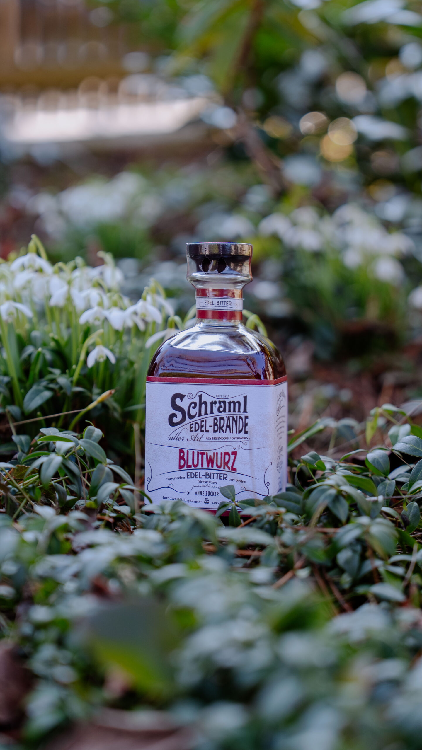 Blutwurz-Edelbraende-Schraml-Natur-Produktbild-032026 (4 von 4) blutwurz-schraml-edelbraende-natur-produktbild