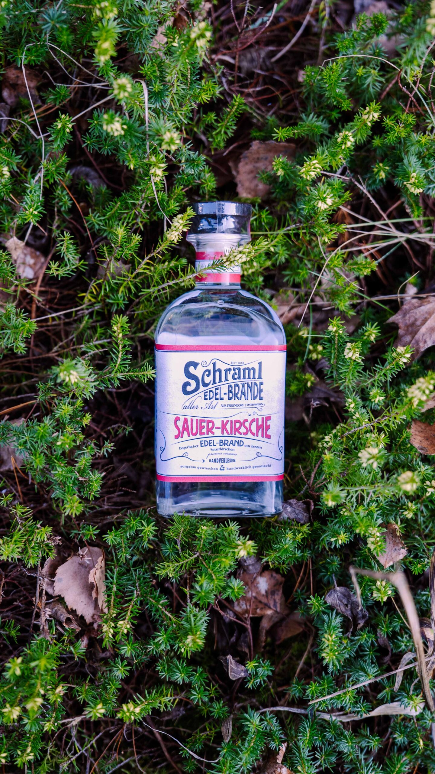 sauer-kirsche-schraml-edelbraende-natur-produktbild