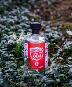 jahn-gin-kaiser-hill-16