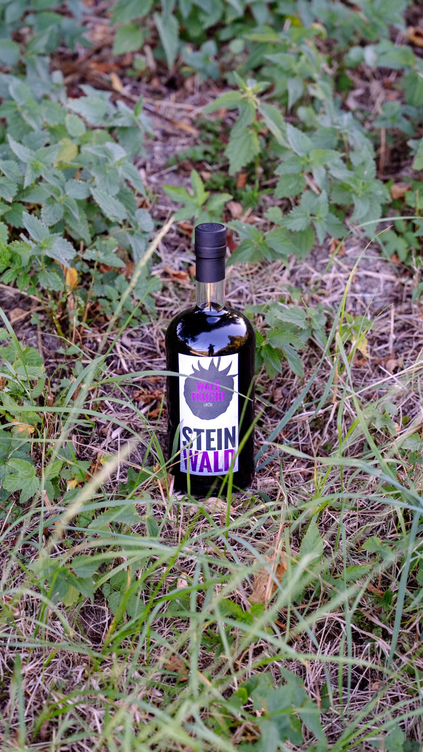 waldfrucht-natur-steinwald