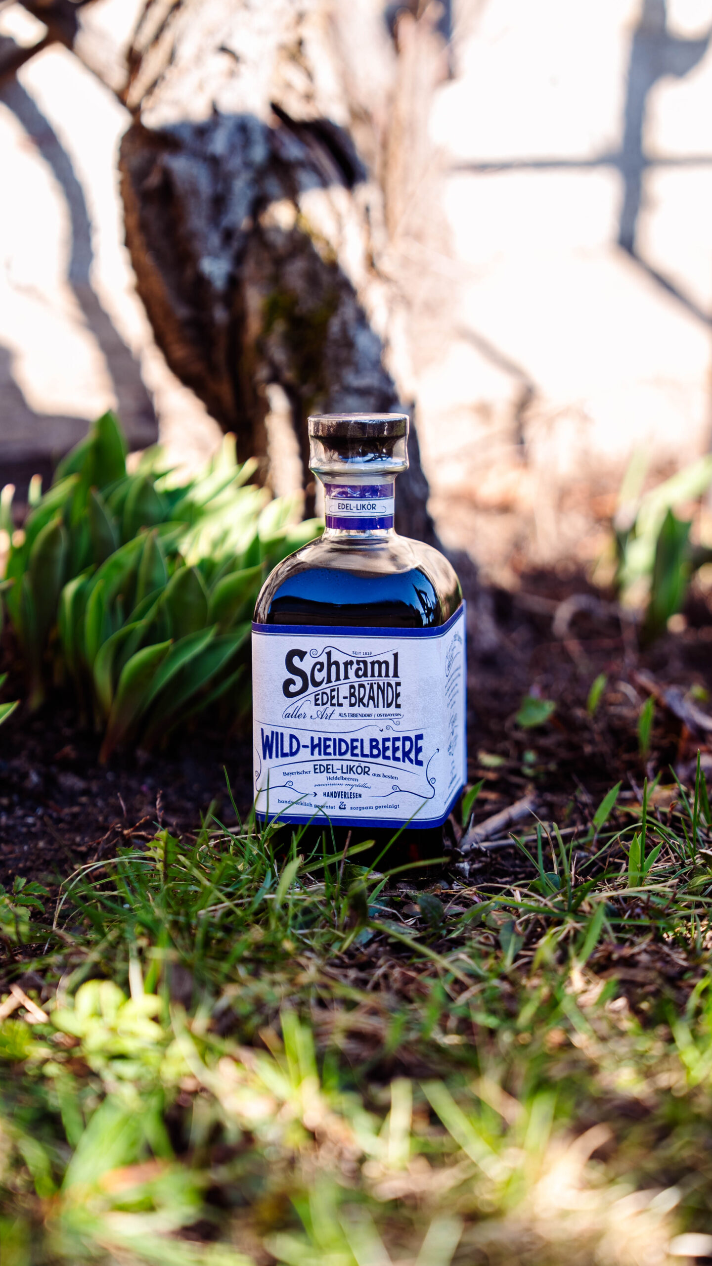 Wild-Heidelbeere-Edelbrand-Schraml-Natur-Produktbild-032026 (2 von 4) wild-heidelbeere-schraml-edelbraende-natur-produktbild