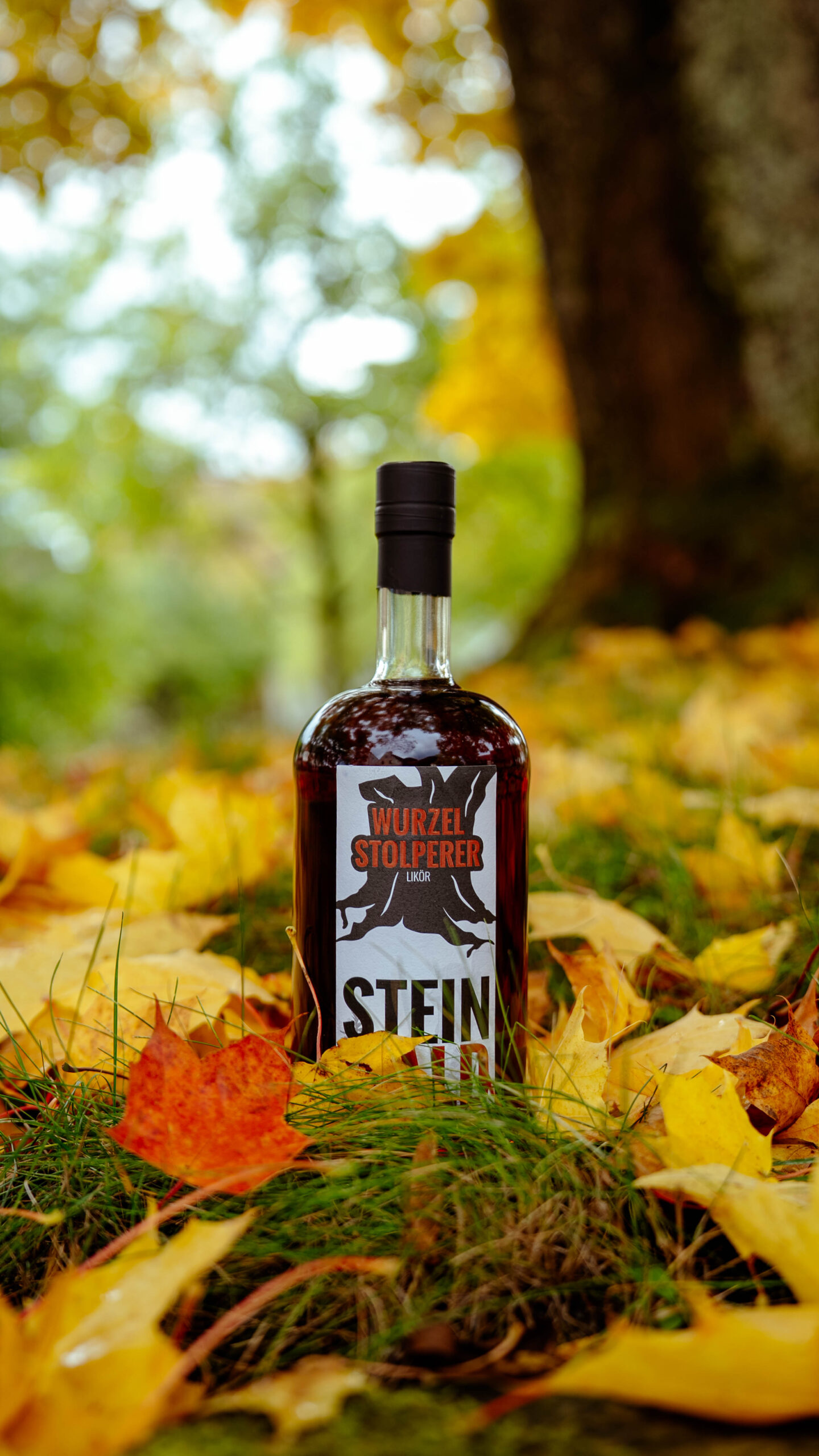 Wurzelstolperer-Likoer-Steinwald-Herbst-2025 (4 von 10)