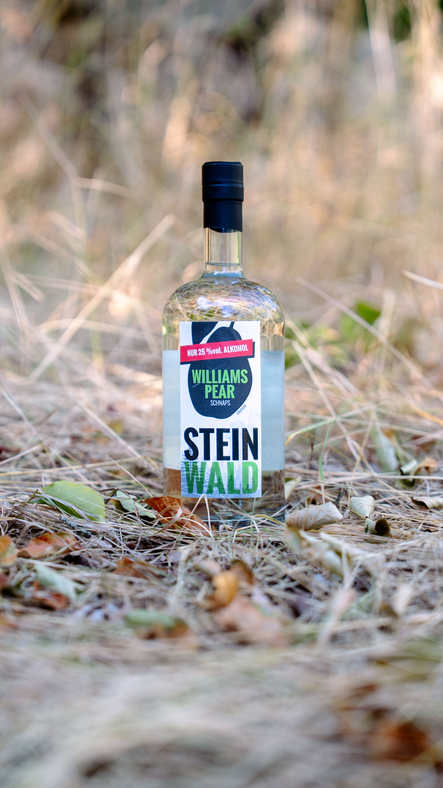 Williamspear-Steinwald-Natur (5 von 7) williamspear-natur-steinwald